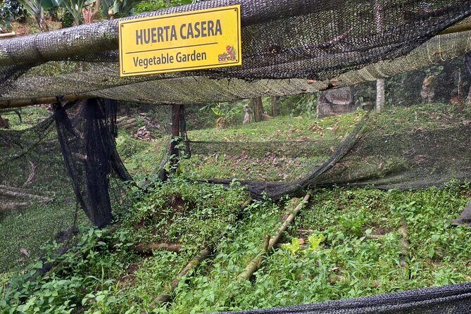 5-Hour Coffee and Pablo Express Mix Tour in Medellín - The 4 to 5 hour timing: how the day usually feels