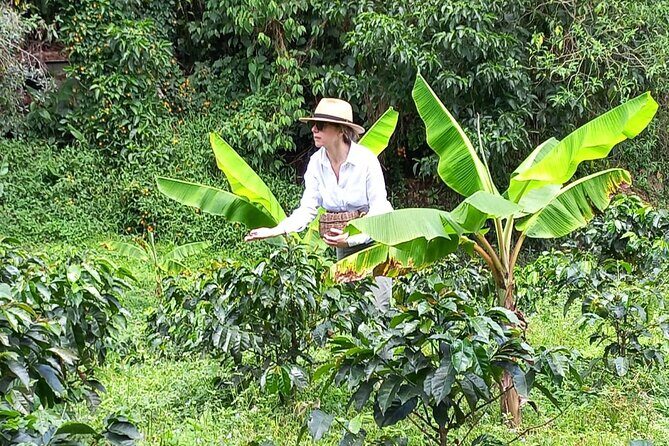 5-Hour Coffee and Pablo Express Mix Tour in Medellín - Price and value: is $140 per person fair?