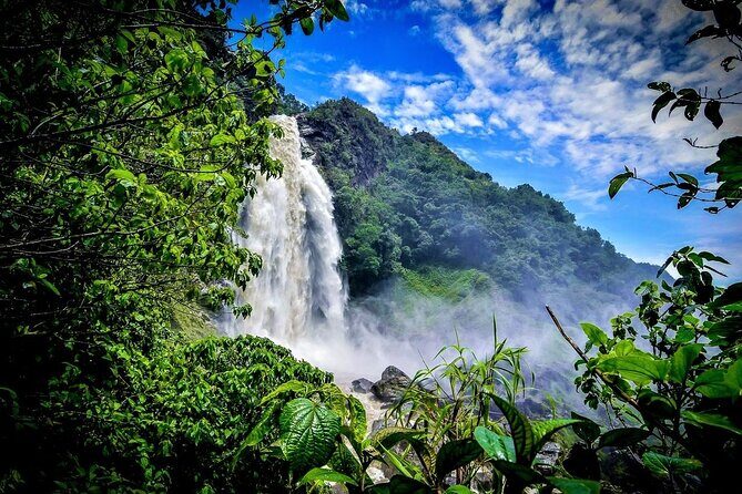 Aerial Hammocks, Zip and Waterfall Trek on Medellin Private Tour - Practical tips that make your day easier