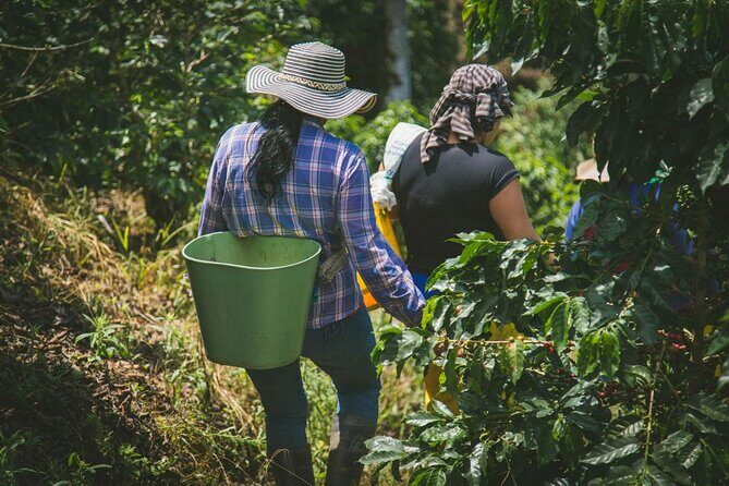 Amazing ATV and Local Coffee Farm Private Tour from Guatape - Price and value: what $195 buys you in a half-day