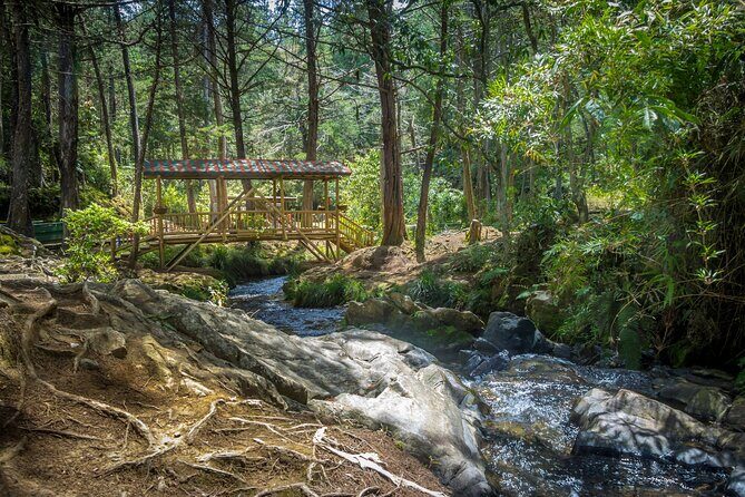 Arvi Park, Cable Car and Water Streams Private or Shared Tour - Key highlights worth paying attention to