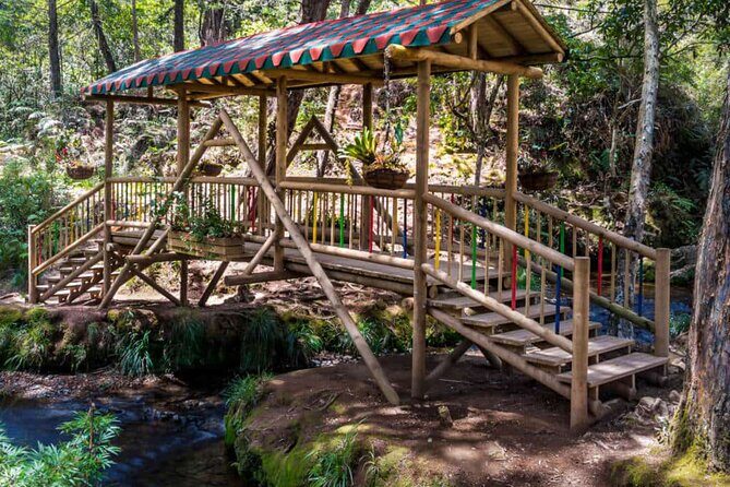 Arvi Park, Cable Car and Water Streams Private or Shared Tour - Why Arví Park is the kind of break Medellín travelers actually need