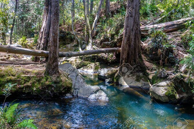 Arvi Park, Cable Car and Water Streams Private or Shared Tour - Price and value: what you’re getting for about $41