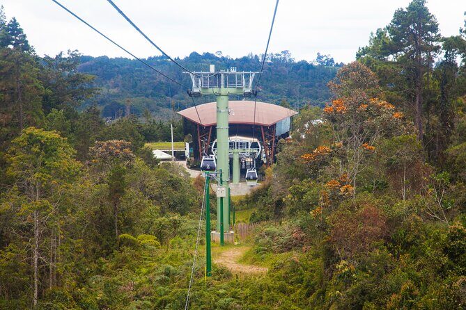 Arvi Park, Cable Car and Water Streams Private or Shared Tour - What to expect with timing and day planning