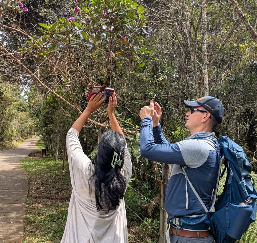 Arvi Park Walking tour and city views from Metrocable. - Mushrooms, moss, and animals: what to focus on during the hike