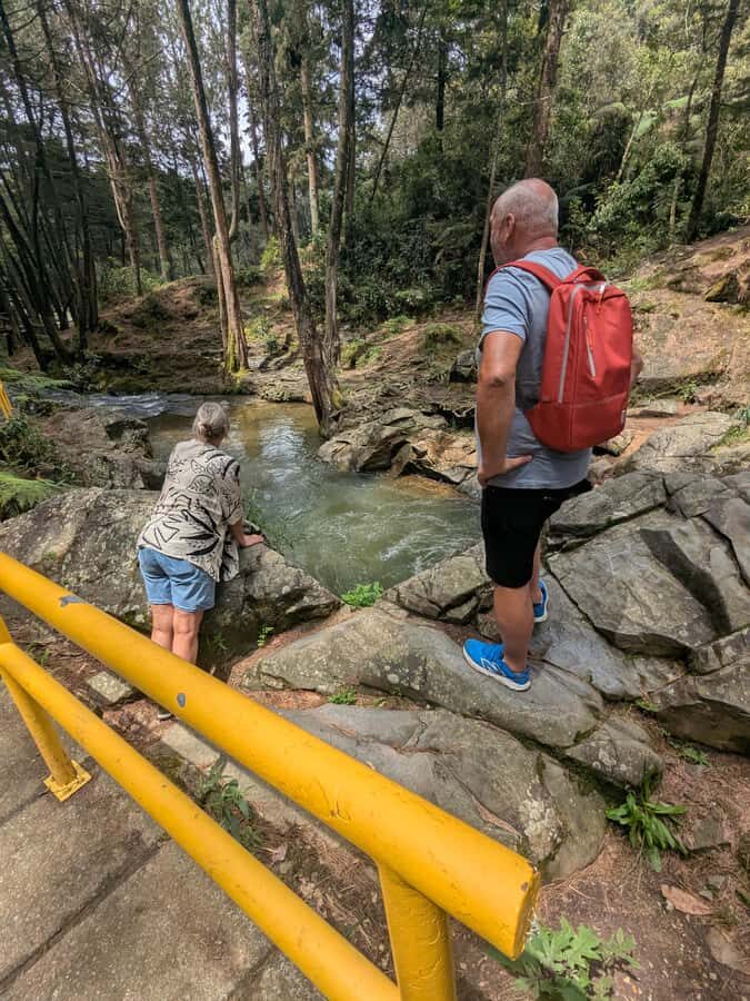 Arvi Park Walking tour and city views from Metrocable. - Who should book this tour (and who might not love it)