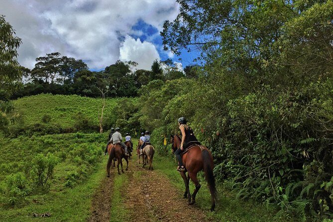 Authentic Colombian Horseback Ride - The 2.5-hour ride: trails, mountains, and the Poblanco River splashes