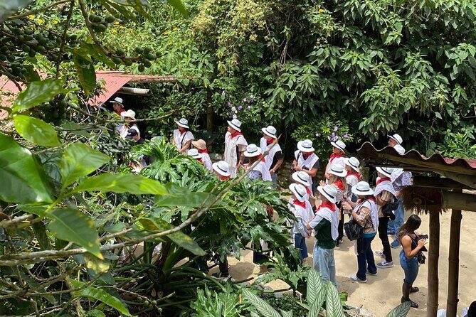 Bilingual coffee tour 30 minutes from Medellin, all inclusive - Transport, photos/videos, and souvenirs shop value
