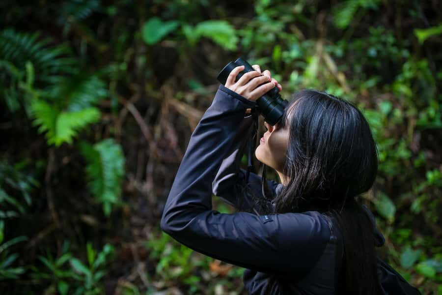 Birding Medellin with expert bird-watcher (Private) - The 6-Hour Flow: What Your Morning Looks Like