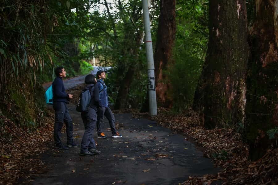 Birding Medellin with expert bird-watcher (Private) - Food, Water, and Early-Morning Energy