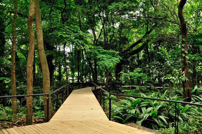 Botanical Garden and Arvi Park Medellín City Tour - Parque Arví: Forest Trails, Viewpoints, and Break Moments
