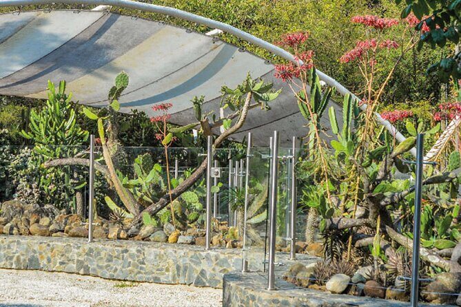 Botanical Garden and Arvi Park Medellín City Tour - What the $85 Gets You (and Why It Can Be Worth It)