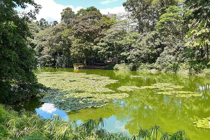Botanical Garden and Arvi Park Medellín City Tour - The One-Legit Concern: Nature Walk vs. Expert Flora Talk