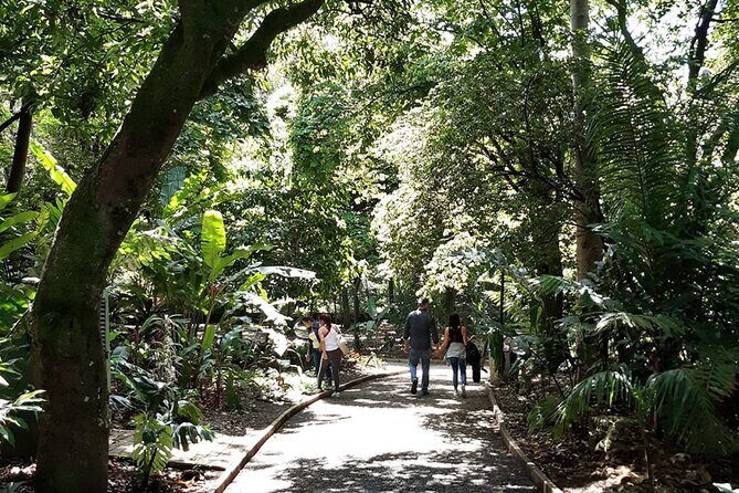 Botanical Garden and Arvi Park Medellín City Tour - Who This Tour Suits Best