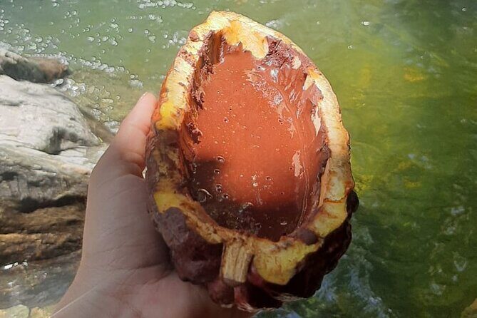 Chocolate roads at Camantours with Waterfall Experience - The cacao-to-chocolate lesson: what you’ll actually learn