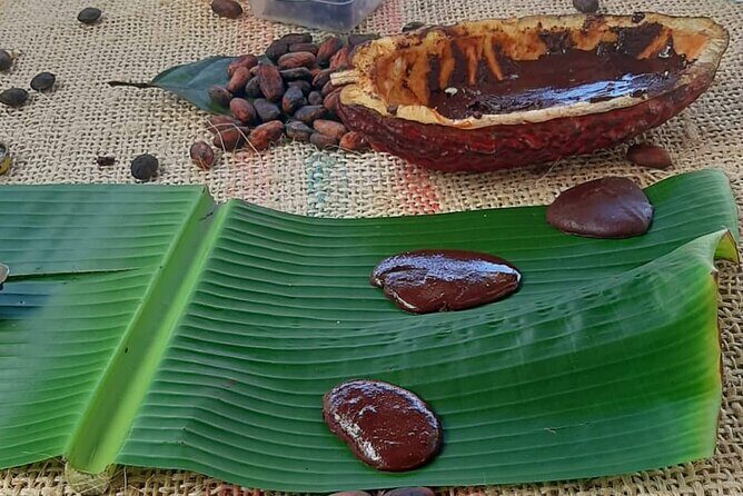 Chocolate roads at Camantours with Waterfall Experience - Waterfall time: cacao exfoliation and the reality of cold water
