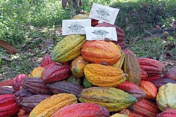 Chocolate roads at Camantours with Waterfall Experience - What to pack (and what to leave behind)