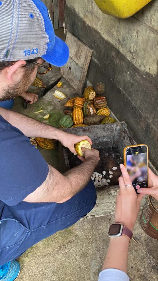 Chocolate tour near the Medellín - Why a cocoa farm tour beats a chocolate shop