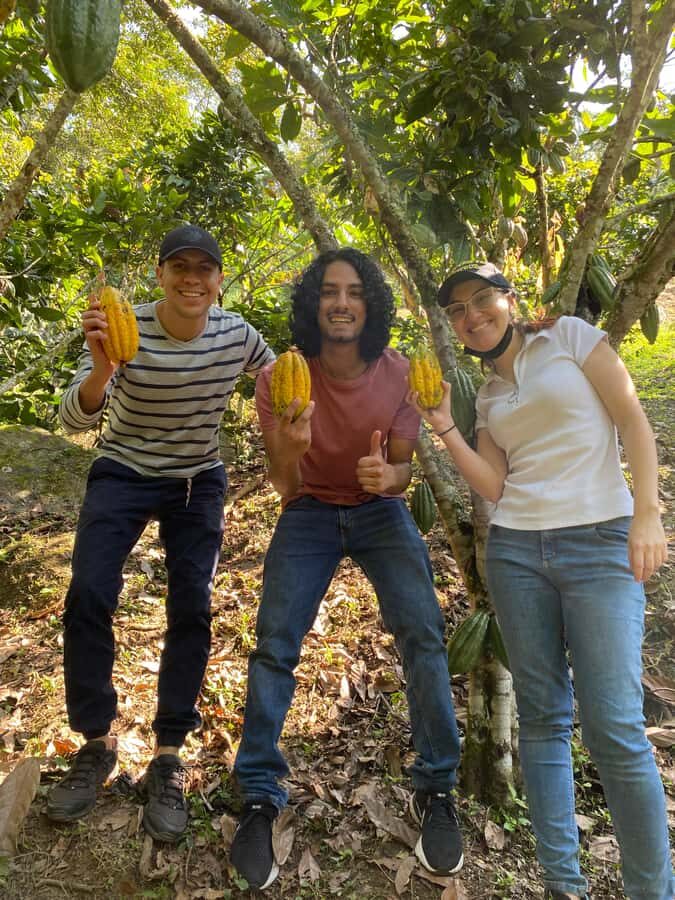 Chocolate tour near the Medellín - Hands-on chocolate making: your own molded chocolate bar