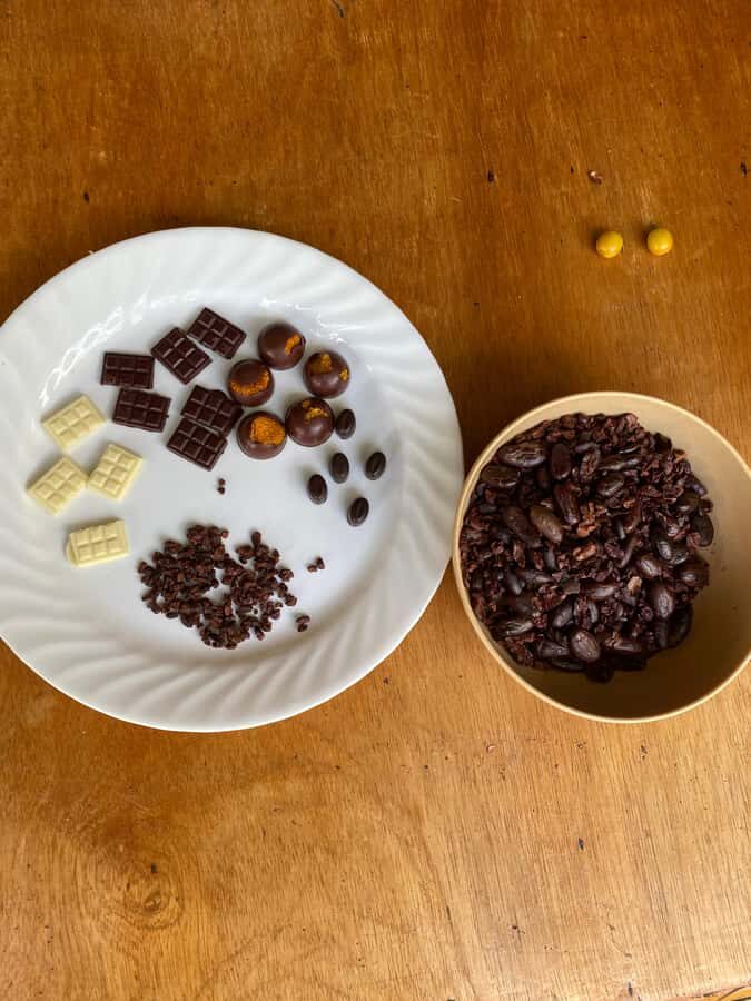 Chocolate tour near the Medellín - Tastings you’ll actually remember: hot chocolate, nibs, and cocoa paste