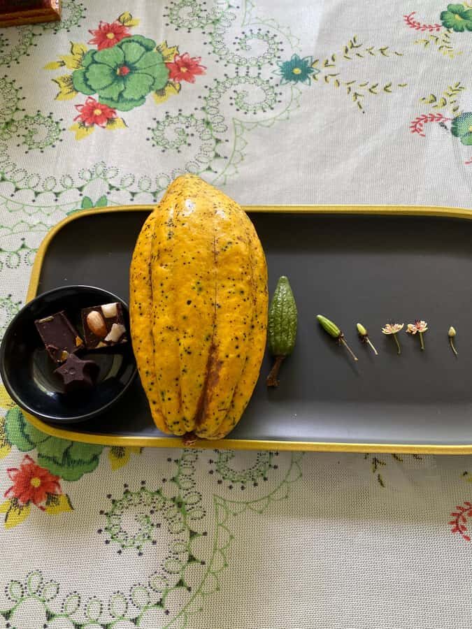 Chocolate tour near the Medellín - How long it really takes and what the timing feels like