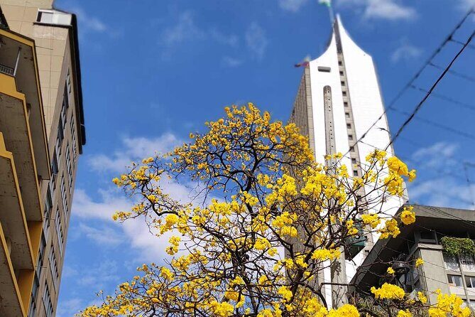 City Tour Medellin 4 Hours with Art Book Included - Stop 4: Medellin Metrocable for a city ride on public transport
