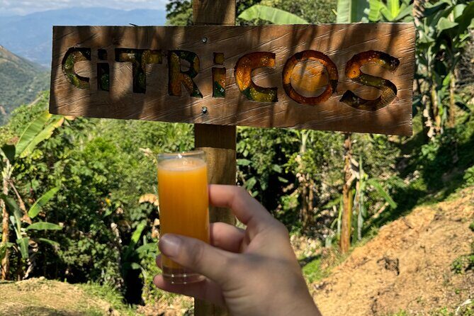 Coffee and Exotic Fruit Tour in the Medellin Mountains - Traditional lunch: shared food is the best translation
