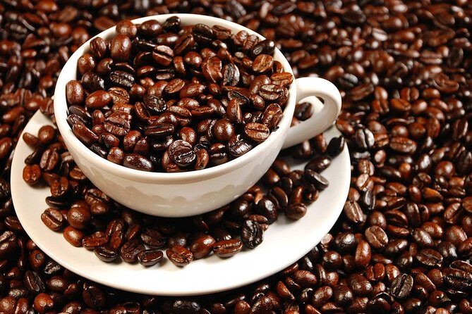 Coffee Express Tour Medellin - Key Things That Make This Coffee Express Tour Worth Your Time