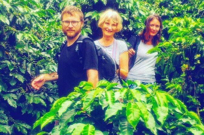 Coffee Express Tour Medellin - Your Private Guide in English: How the Explanations Actually Land