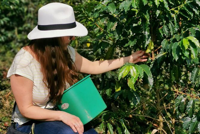 Coffee Farm & ATVs Private Tour in Medellin: Stunning Views & Fun - Key Highlights Worth Your Attention