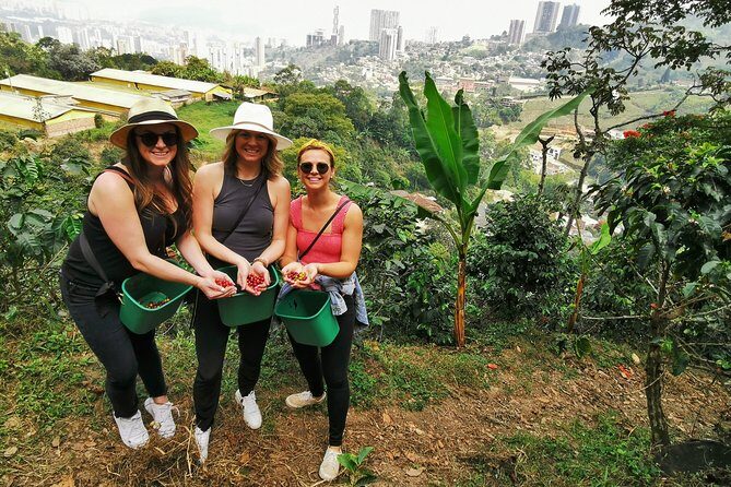 Coffee Farm & ATVs Private Tour in Medellin: Stunning Views & Fun - ATV + Coffee in Medellín: A Day Built for Real Variety