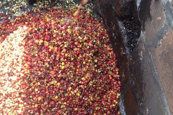 Coffee Plantation in Jardin and City sightseeing Tour - Timing and comfort: what a 12-hour mountain day asks from you