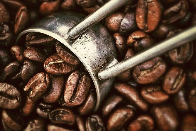 Coffee Tour - Key highlights at a glance