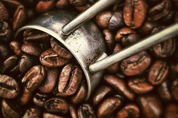 Coffee Tour - Typical Antioquia Lunch: Included, Not an Afterthought
