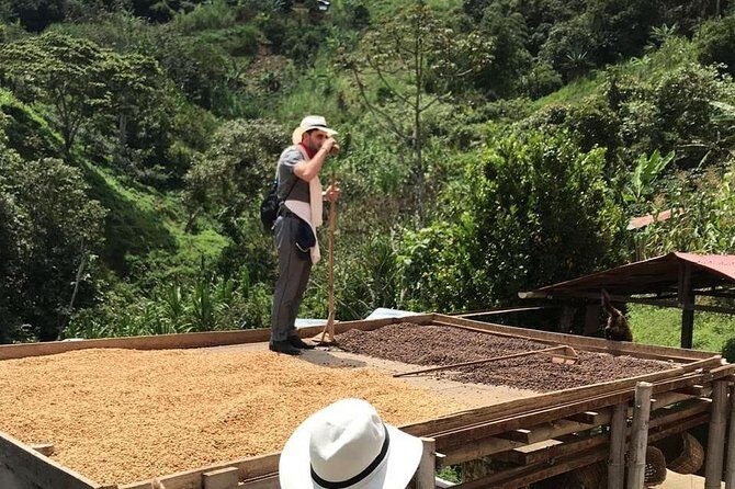 Coffee Tour - All inclusive - Medellín - Key highlights you’ll care about