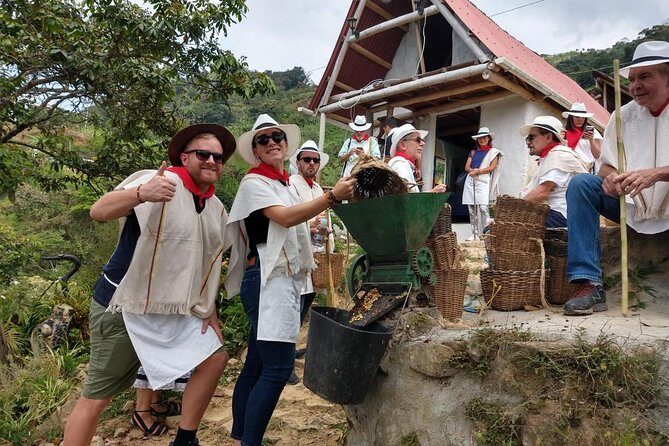 Coffee Tour & comuna 13 & cable car - D’Arrieros Coffee Farm: learning the coffee story (and tasting it)