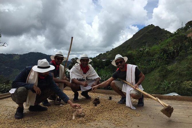 Coffee Tour & comuna 13 & cable car - Who this tour fits best—and who should choose differently