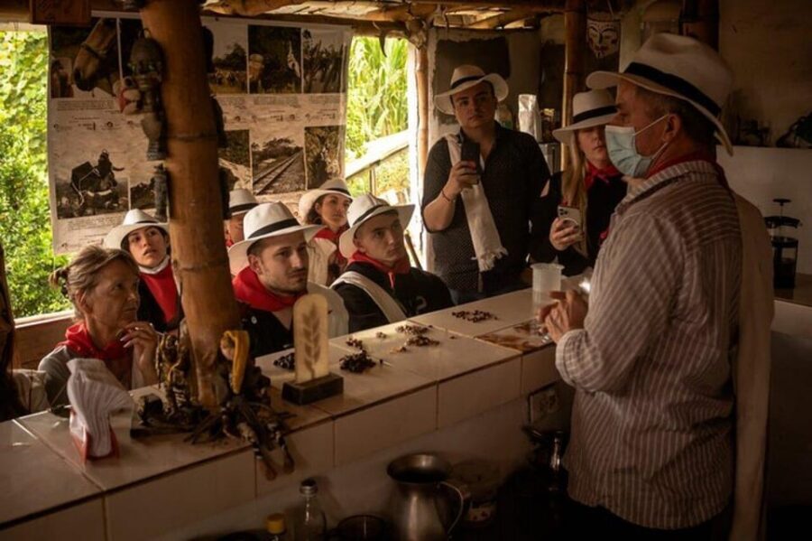 Coffee Tour from Medellin with Lunch and Coffee Tasting - Price and value: is $86 a good deal from Medellín?