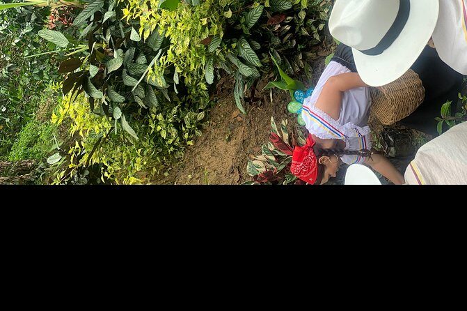 Coffee tour+Guatape - Price and what you’re really buying for $150