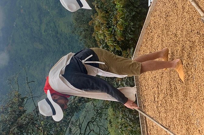 Coffee tour+Guatape - The guide factor: English, professionalism, and feeling safe