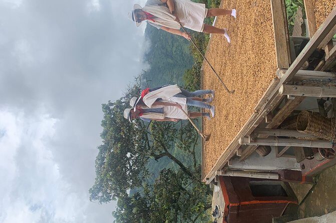 Coffee tour+Guatape - Group size, privacy, and pacing you can actually enjoy