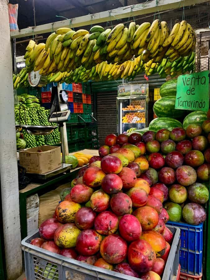 Essential Fruit Experience - Key Takeaways Before You Go