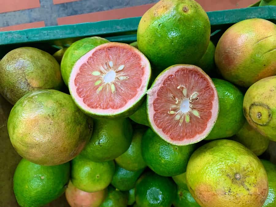 Essential Fruit Experience - Should You Book the Essential Fruit Experience?