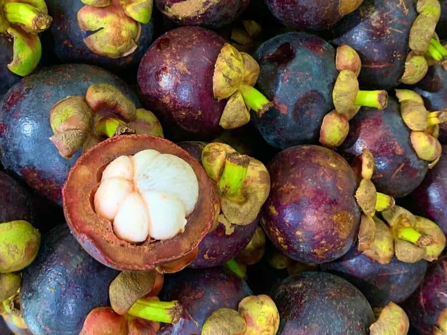Essential Fruit Experience - Break Time and Sightseeing: Don’t Skip the Small Moments