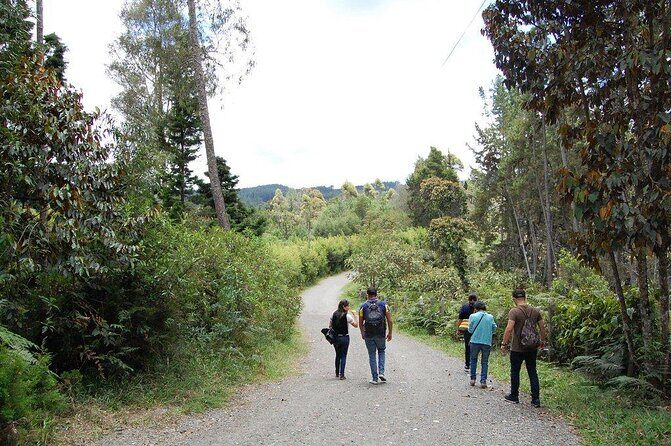 Exotic flowers farm and silleteros cultural tour - Key highlights you’ll care about