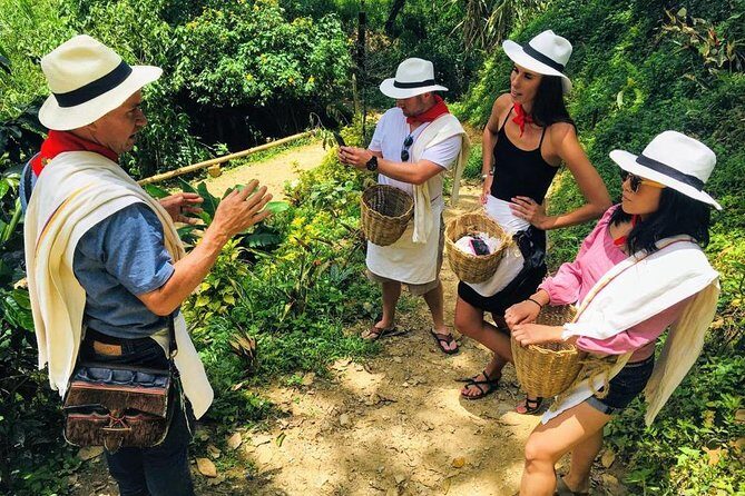 EXPERIENCES COLOMBIA (coffee tour) - Coffee tastings that teach you what to do at home