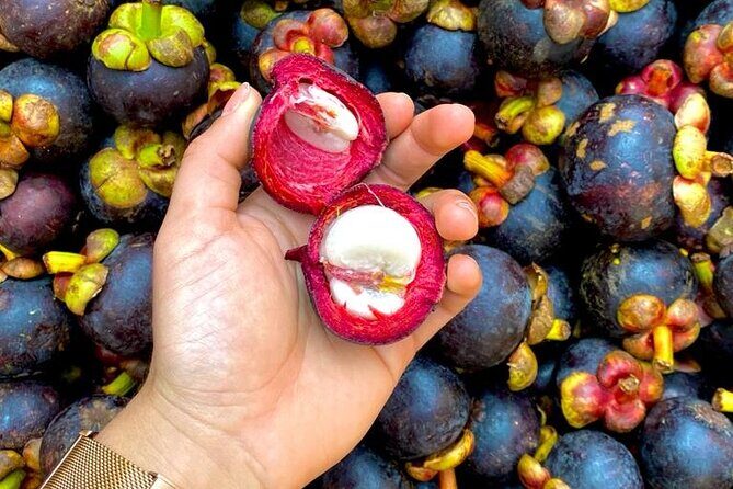 Flavors of eternal spring - Parque San Antonio: El guaapo and the sugarcane-lemon hit