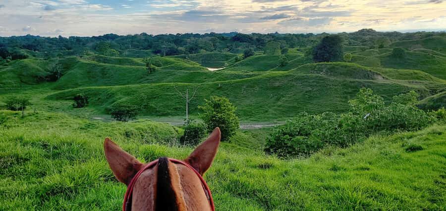From Medellin; (All-In) The Real Horseback Ranch Experience - The all-inclusive part that really matters: meals, water, and time in the saddle