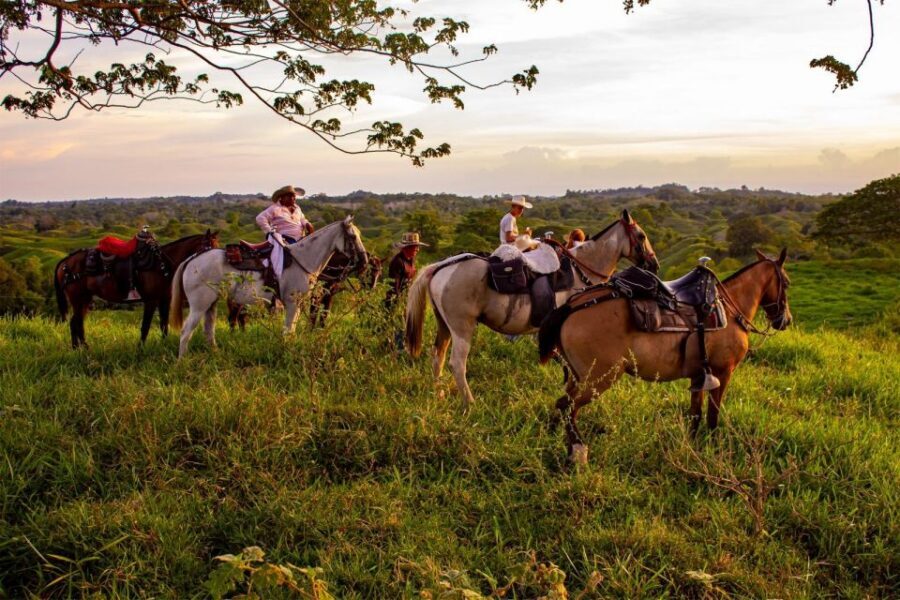 From Medellin; (All-In) The Real Horseback Ranch Experience - Wildlife and the Fiambre field picnic: the mid-ride highlight