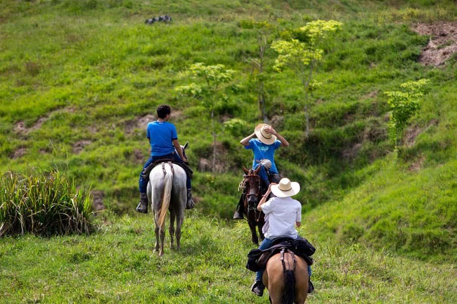 From Medellin; (All-In) The Real Horseback Ranch Experience - Break time and brunch: snacks to finish strong